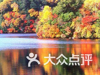 X/77，等于63/90，怎么解解方程？游戏画面