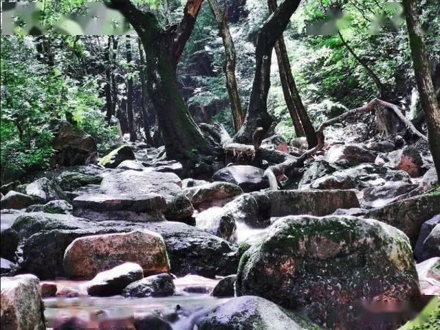 未知的岛屿